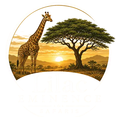 Liliac Eminence